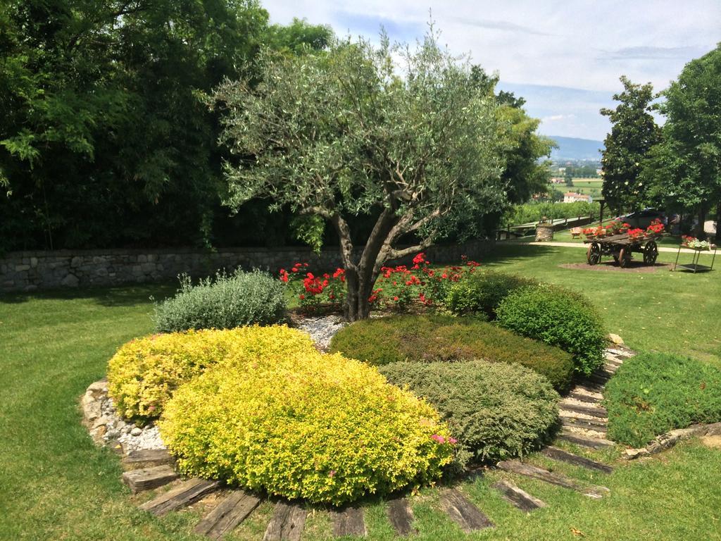 فيلا Rovolonفي Agriturismo Al Colle Del Ciliegio المظهر الخارجي الصورة